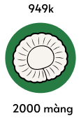 2000 màng